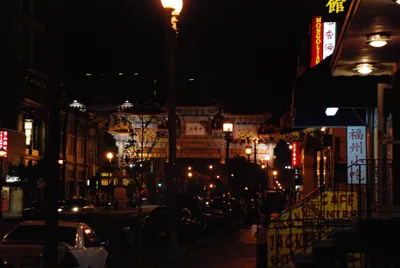 DSC_20009 (Large).JPG